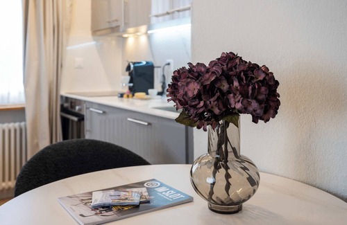 Davos Apartment | Luxury Davos Studio, Central, Near to Lifts