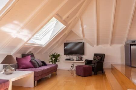 Wanaka Apartment | Luxury Eco Apt w Pool Gym & Sauna - Adults only