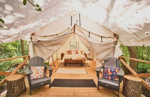 Elora Cabin | Luxury Glamping on Elora Sunflower Farm - Fox