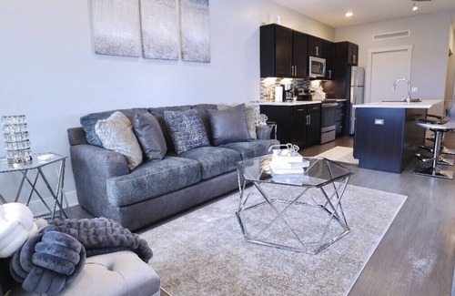 Heartside Apartment | Luxury gorgeous 2BR 2B Condo in the heart of downtown Grand Rapids