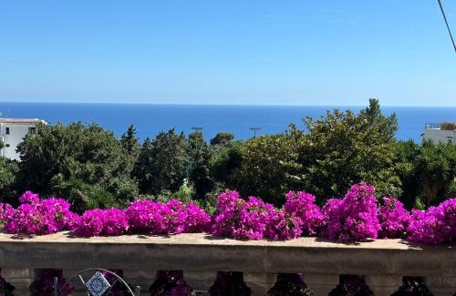 Capri Apartment | LUXURY HOUSE "VILLA POMPEIANA" Via CAMERELLE CON TERRAZZA VISTA MARE
