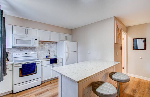 O'Hare Apartment | Luxury King Bed Remodeled Safe Chicago Condo