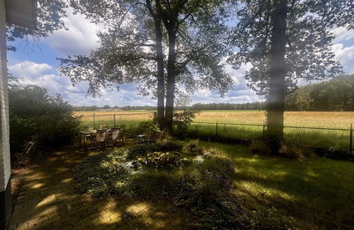 Waalre House | Luxury recreation house in the middle of a wooded area (31f)