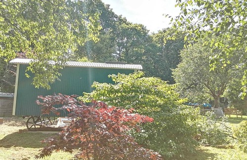 Holcombe Burnell Cabin | Luxury Shepherds Hut Retreat in Devon near Exeter & Dartmoor. Views into woods.