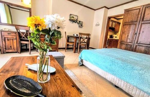 Shiligarnika Apartment | Luxury SPA Apartments TOP resort Bansko - incl wellness