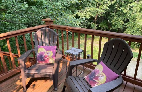 Mingo Apartment | Luxury Suite in the Woods! Fireplace, Whirlpool! New!