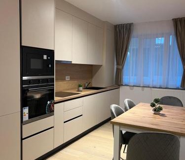 Suceava Apartment | Luxury Sunny Apartments near City Center Suceava