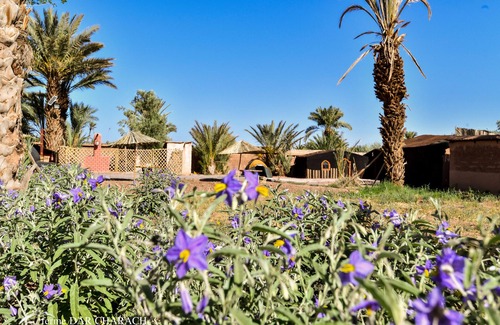Tarmigt Other | luxury tent in a Farm