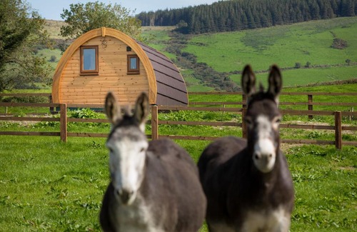 Broadford House | Luxury two-bed Glamping Pod in County Clare