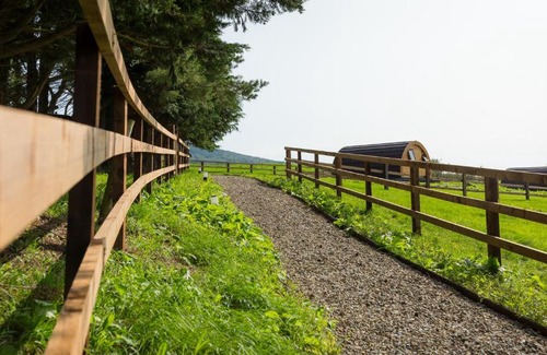 Broadford House | Luxury two-bed Glamping Pod in County Clare 2