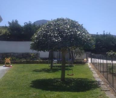 Termini Imerese Villa | Luxury Villa in Sicily