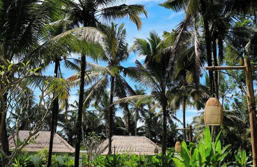 Ubud Villa | Luxury Villa Stay – Serenity, Style, and Convenience Combined