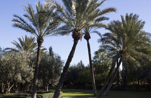 Palmeraie Villa | Luxury Villa with Spa in Palmeraie