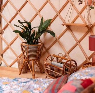 Adventure Bay Other | Luxury yurt glamping at Littlegrove