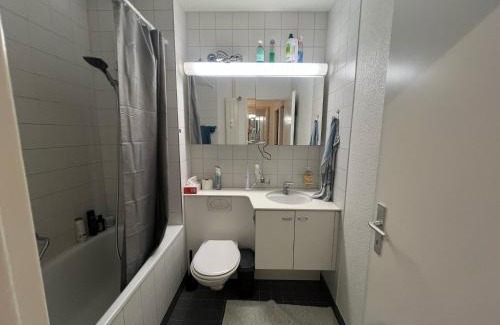 Gundeldingen Apartment | Möbelierte Wohnung mit Balkon zwischen Bahnhof und St Jakob
