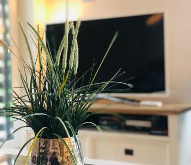 Groemitz Apartment | Möwennest 4