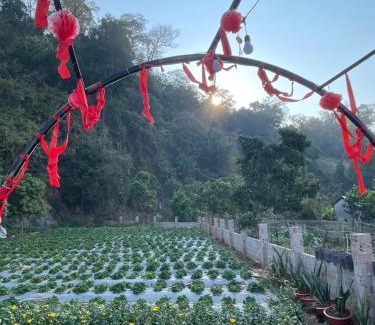 Moc Chau Hotel | Mộc Homestay