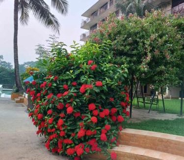 Dhaka Division Hotel | M J Holiday Resort