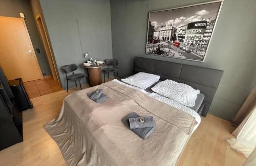 Feuersee Apartment | M13 - Innenstadt Studio in Stuttgart Zentrum