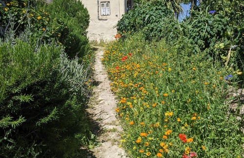 Volubilis House | For a better understanding of ecological agriculture.