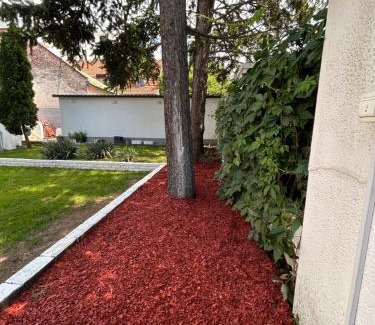 Zvezdara Apartment | Magenta Garden