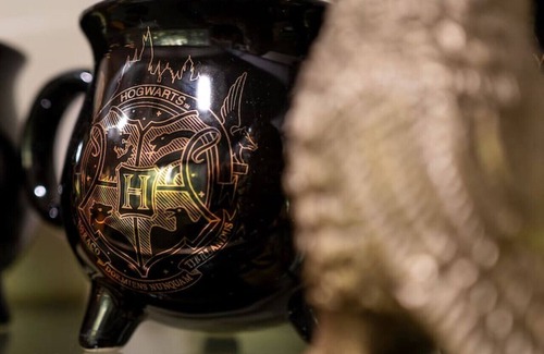 Sylva House | Magical Harry Potter Themed, Hot Tub, and Fire Pit!