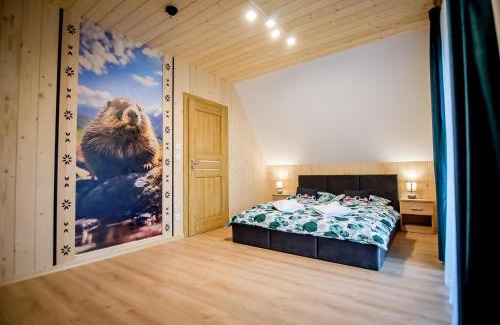 Bialka Tatrzanska Ski Chalet | Magiczny Domek