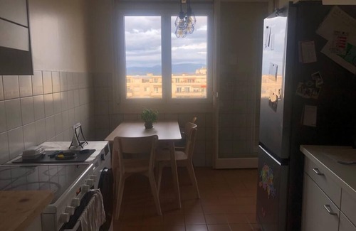Versoix Apartment | Magnificent family apartment with Montblanc and Lake Leman views