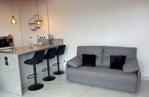 Canet-Plage Apartment | Magnifique Appartement Avec Grande Terrasse Avec Accès Direct Plage et Piscine