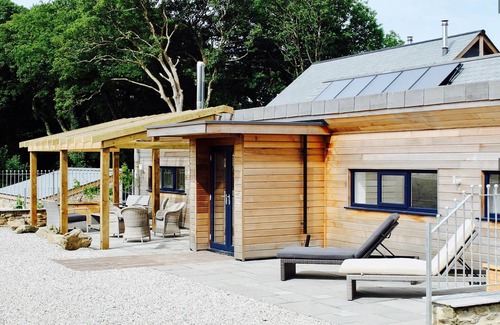 Newquay Cabin | Magnolia Dog - A luxury couples+ Yurt on a stunning historic estate near Newquay. Dog friendly