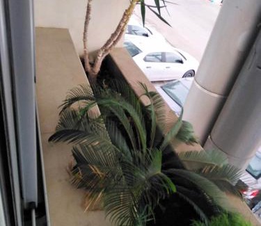 Hiboun Apartment | Mahdia apartment with sea view