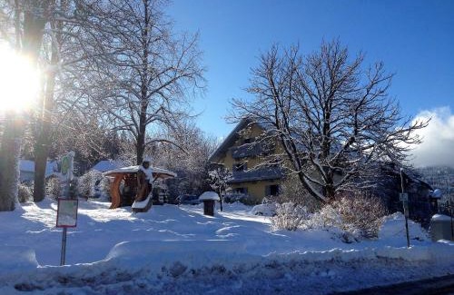 Bayerisch Eisenstein Apartment | Maier Chalet