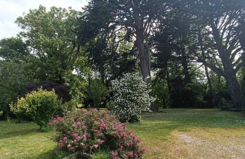Plouneour-Trez House | Maison Dans Propriété Arborée, à 800m de la Plage