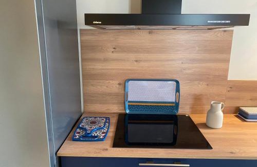 Nuits-Saint-Georges Apartment | Maison Authentique « Bleue Nuits »