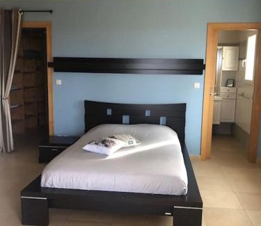 Monteux Villa | Maison climatisée piscine salle de sport 8/9 pers.