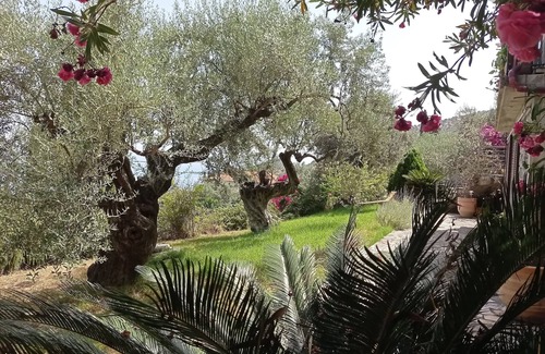 Livadi House | Maison D'architecte Dans la Verdure Bénéficiant D'une vue Sublime