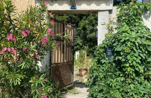 Avignon House | Maison Dartiste, Bord du Rhône