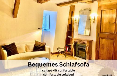 Fribourg Apartment | Maison de Castella next to Cathedrale