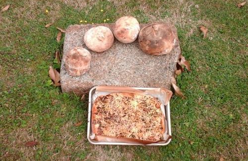 Passais-Villages House | Maison de Charme à la Campagne avec Jardin et Billard - FR-1-497-238