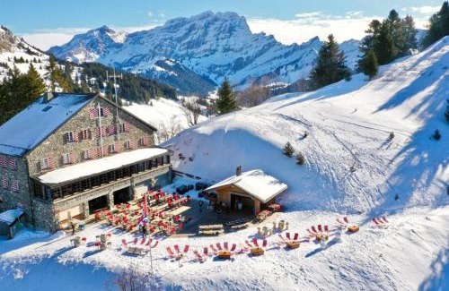 Ollon Hotel | Maison de Montagne de Bretaye accès par le train arrêt Bouquetin