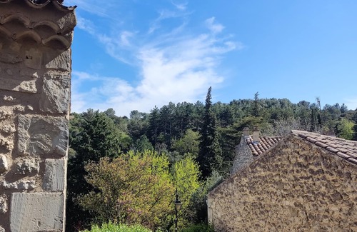 Saint-Restitut House | Maison en Pierre Dans un des Plus Beau Village