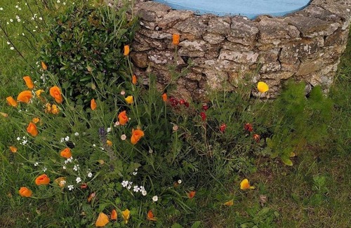 Ile d'Yeu House | Maisonette with garden île de.yeu