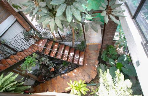 Cholula Apartment | Majikal B&B - Gaudi