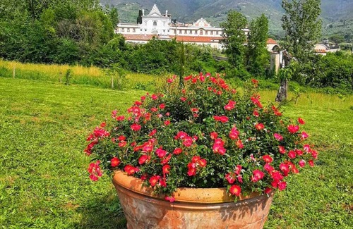 Calci Villa | Major Tuscan art cities and lovely beaches are at less than 1 hour driving