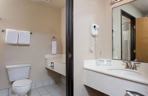 Newport Hotel | Making The Best Memories Along The Way! Pets Are Welcome, Parking!