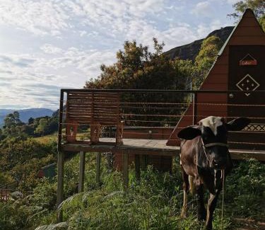 Macanal Hotel | Mamaterra Glamping
