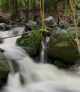 Devikolam Cabin | MANAPURATH Homestay