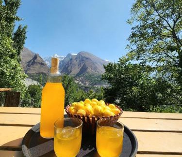 Karimabad House | Manasau Resort