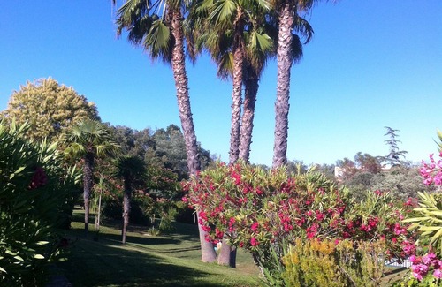 Mandelieu-La-Napoule Apartment | Mandelieu charming quiet apartment