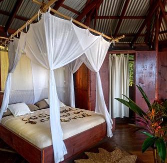 Tanetane Hotel | Manicou River Resort